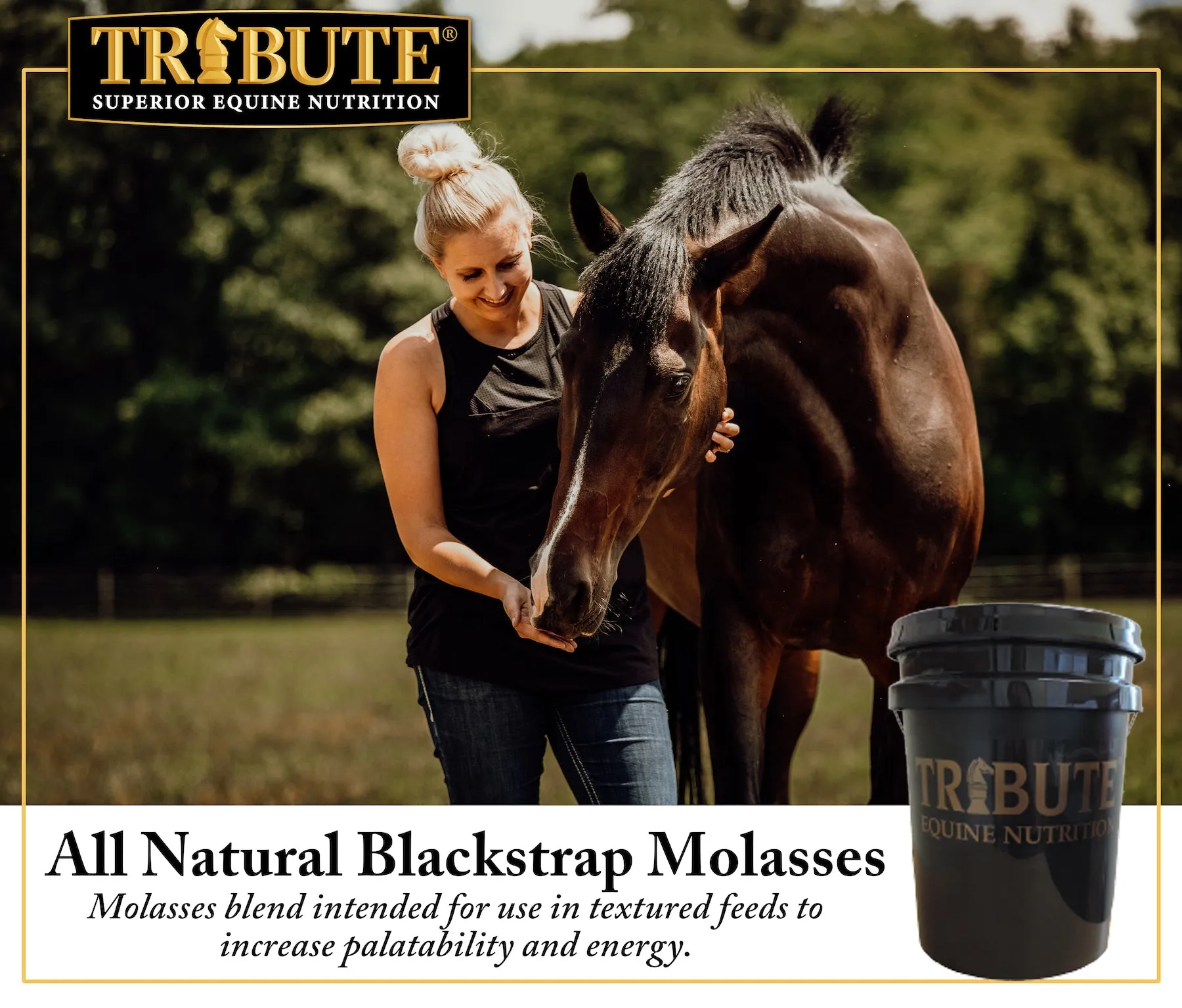 All Natural Blackstrap Molasses