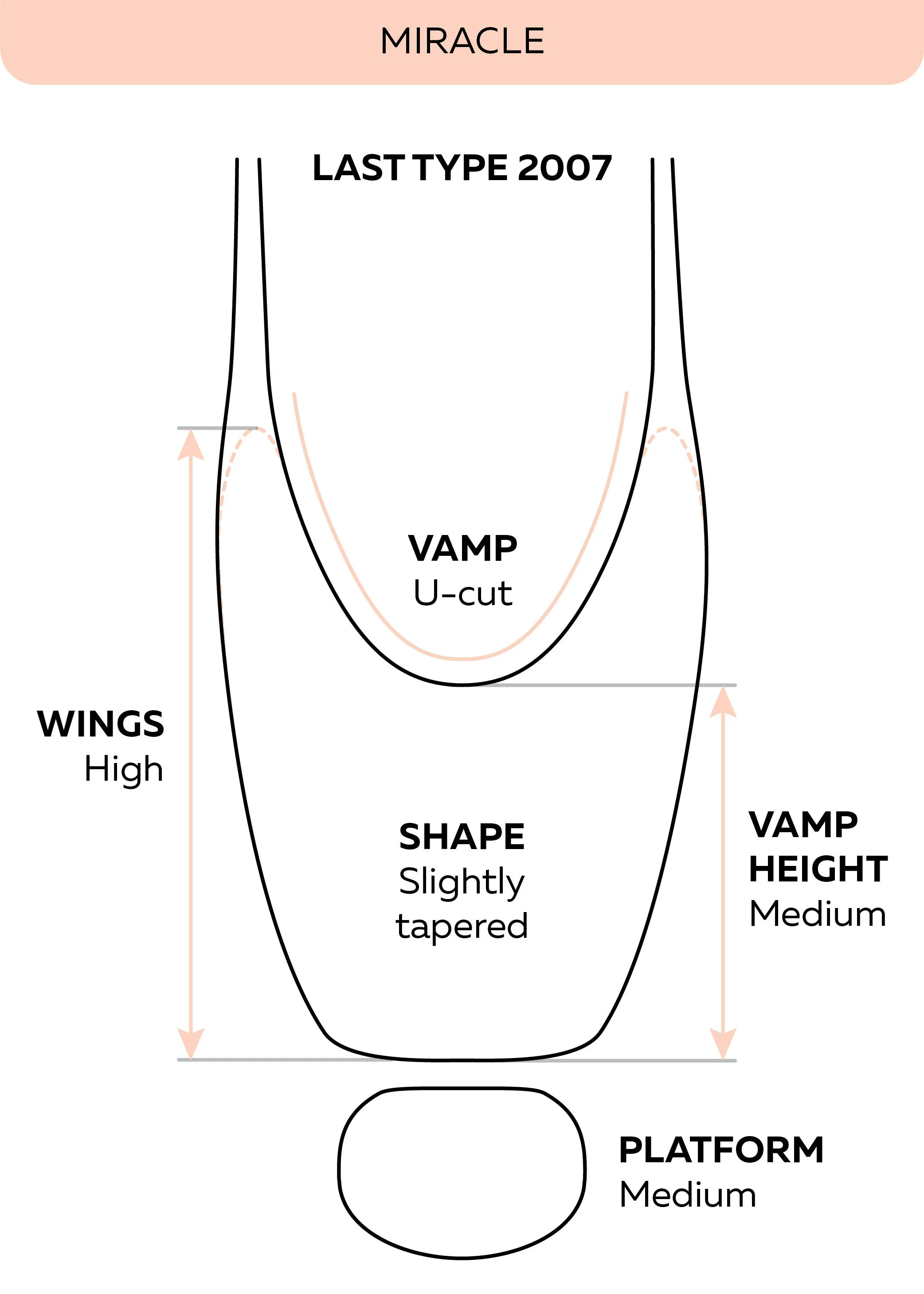 Miracle Pointe Shoes